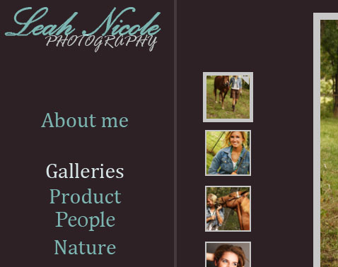 Leah Nicole Photography website